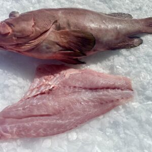 Grouper (Fillet)