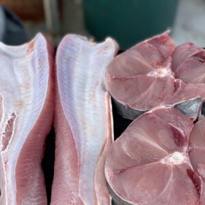 Freshshly cut Thresher shark cut into loins and steak