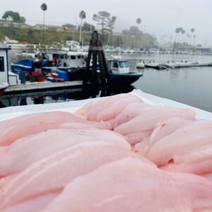 Red Snapper Fillets laying out with the harbor view in the background