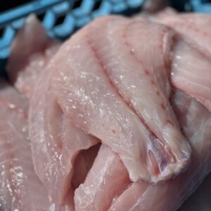 Stack of a dozen fresh snapper fillet