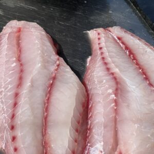 Two snapper fillet side by Side on a counter