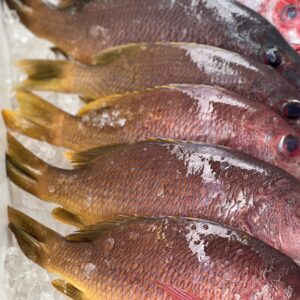 Yellow Snapper (Whole)