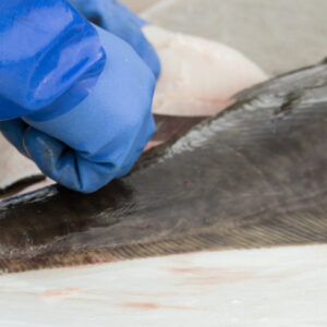 Alaskan Halibut (Fillet)
